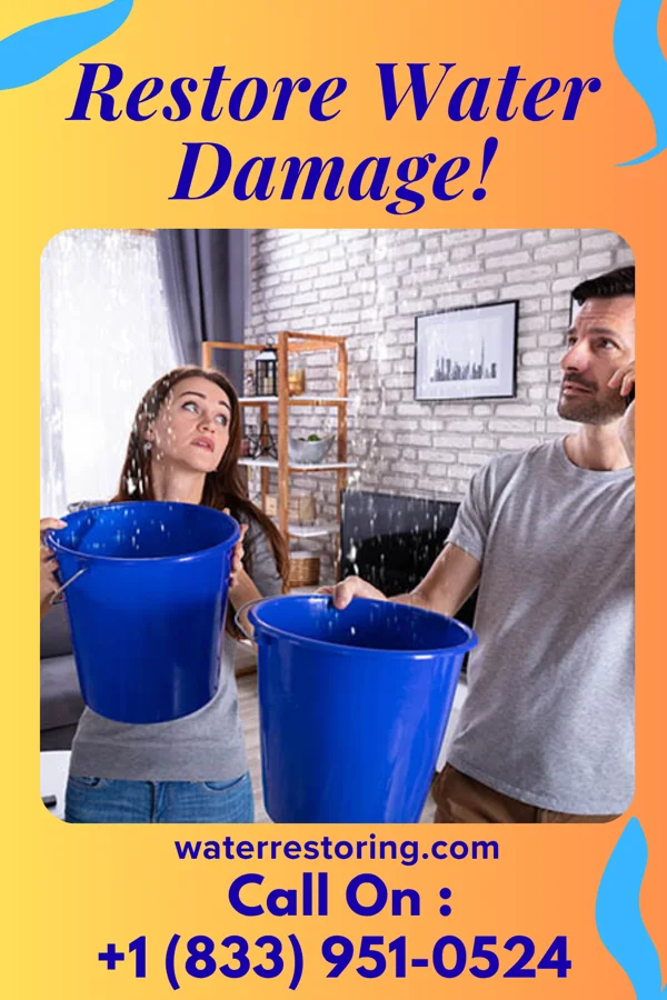 water restoration Platinum Property Restoration Professionals La Grange Park