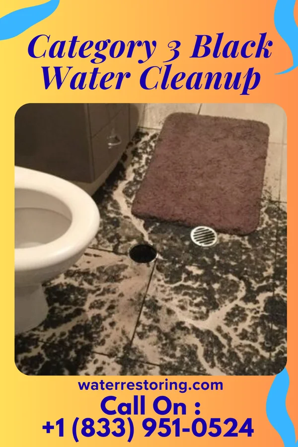 Category 3 Black Water Cleanup in La Grange Park, IL