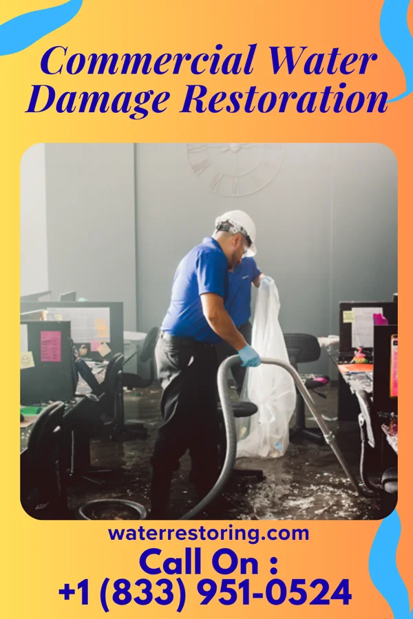 Commercial Water Damage Restoration in La Grange Park, IL